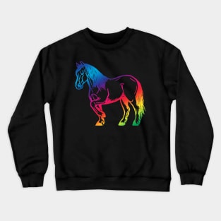 Colourful Cob Crewneck Sweatshirt